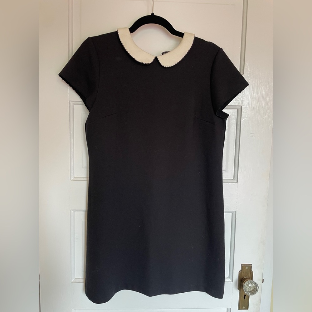 Elegant Black Dress with White Collar